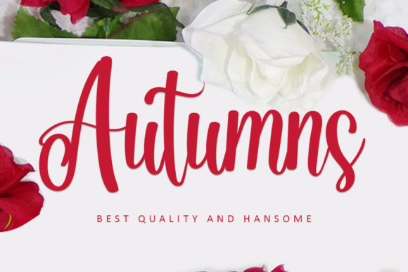 Autumns: A Refined Script Font