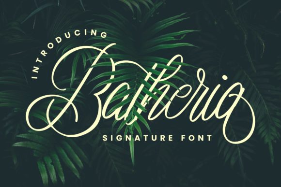 Batheria: A Stylish Script Font