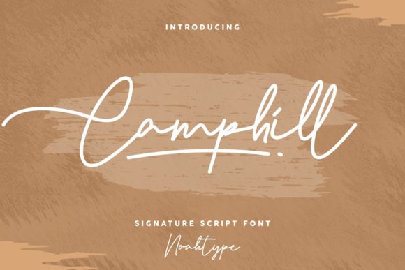 Camphill Font: Elegant Script for Web Design