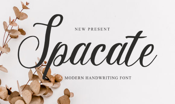 Spacate: A Elegant Script for Editorial Design